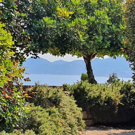 Haus Mit Garten Ueber Der Bucht Von Cannes Vallauris Exterior photo